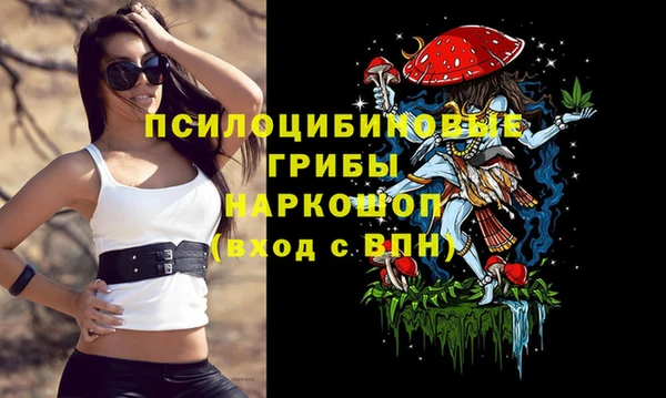 ГАЛЛЮЦИНОГЕННЫЕ ГРИБЫ Абаза