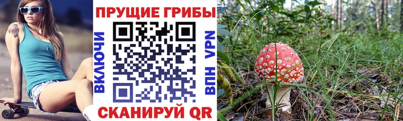 shop состав  Абинск  Псилоцибиновые грибы Cubensis 